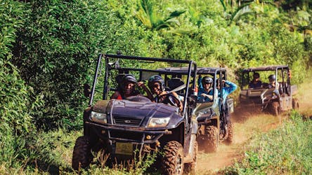 Экскурсия на квадроциклах или багги по Маврикию в природном заповеднике Бель-Омбре